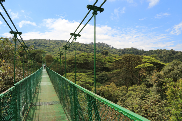 Pont suspendu Monteverde