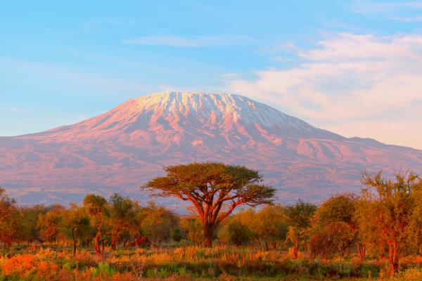 Kilimandjaro, Tanzanie