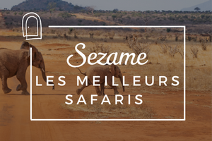 Sezame des Voyages, les meilleurs safaris d'afrique