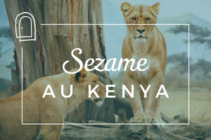 Article blog - 5 safaris mythiques au Kenya