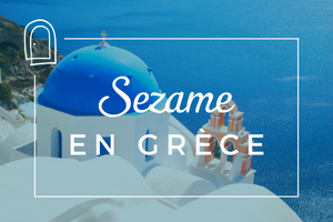Article blog - Quelle île choisir pour votre voyage en Grèce ?