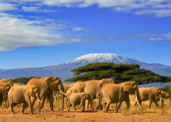 Kenya, Sezame des voyages