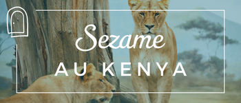 Guide Sezame des Voyages au Kenya