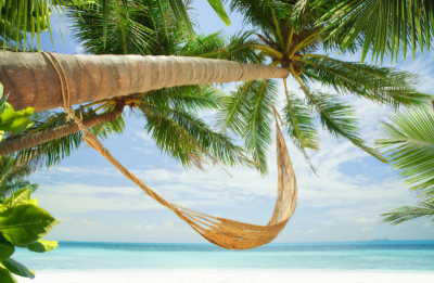  Vacances à la plage, hamac sous les cocotiers