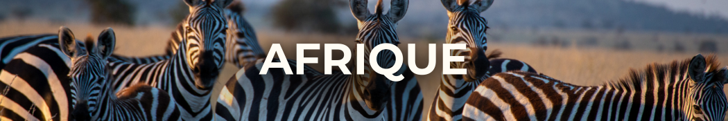 Destination voyage Afrique
