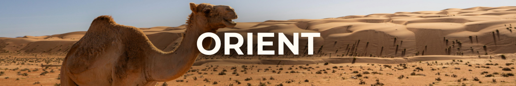 Voyage destination Orient